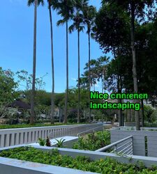Changi Rise Condominium (D18), Condominium #503014791